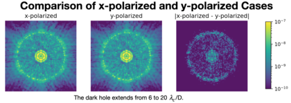 Comparison of x-polarized and y-polarized cases