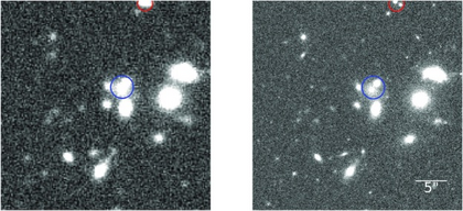 Roman-LSST galaxy image simulation